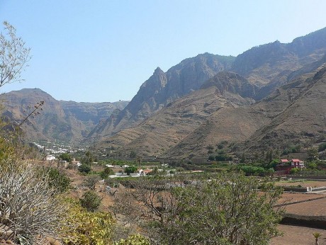 Naturvielfalt Grand Canaria